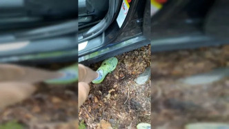 2020 06 24 5ef39b972953d12f7dbec Source video