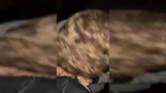 Orig B469fd4f Bf3e 450b 9d87 Eec6c3548b5f video