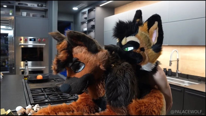Palacewolf (56) video