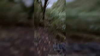 Video 271@31 03 2024 16 01 40 video