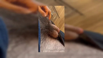 0b691d7e 69bd 4958 832d 3c3a16c3ecbb video