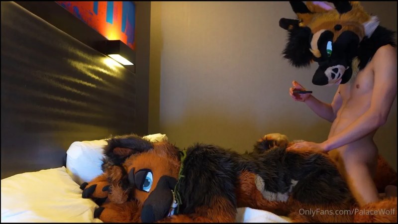 Palacewolf (34) video