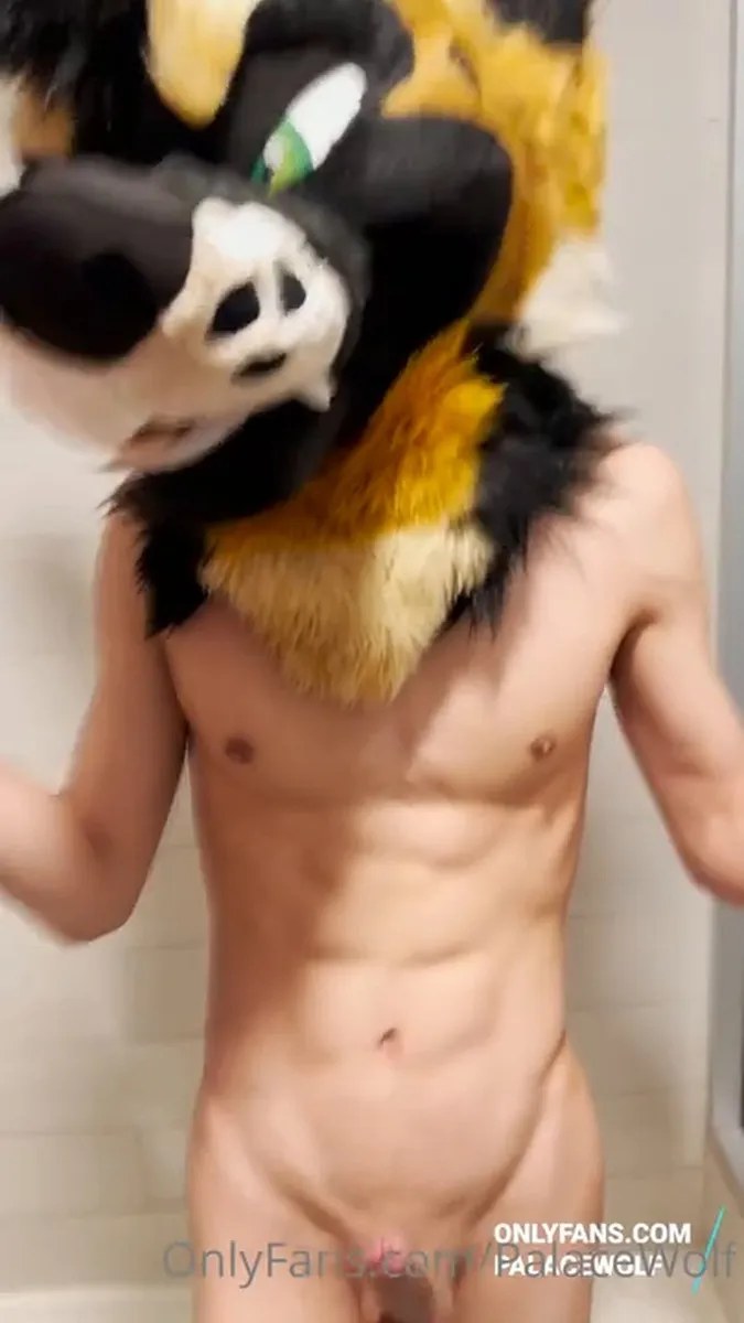 Palacewolf (35) video