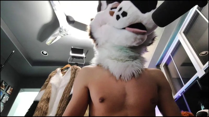 Palacewolf (28) video