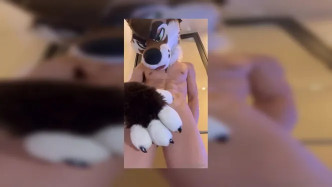 Palacewolf (19) video