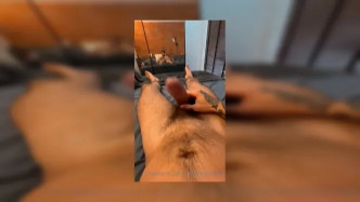 Rafaelnewbold (27) video