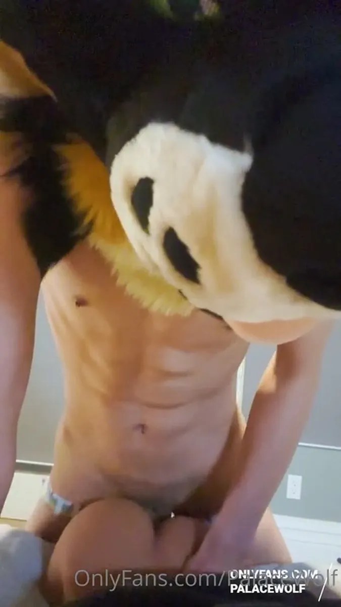 Palacewolf (33) video