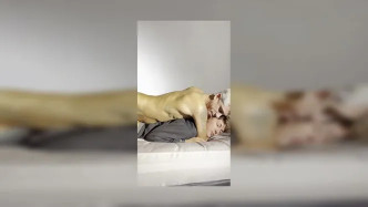 Novaex Onnowplay 53 video