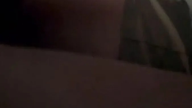 Felix Fox Car (2) video