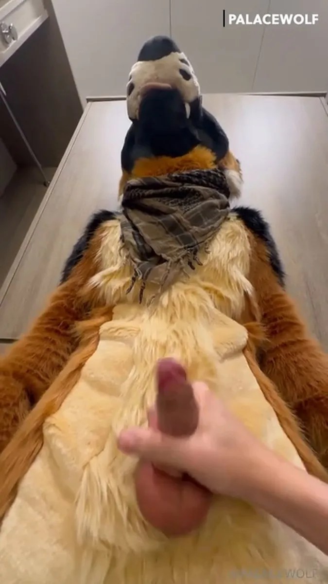 Palacewolf (33) video