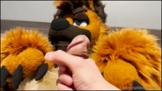 Palacewolf (59) video