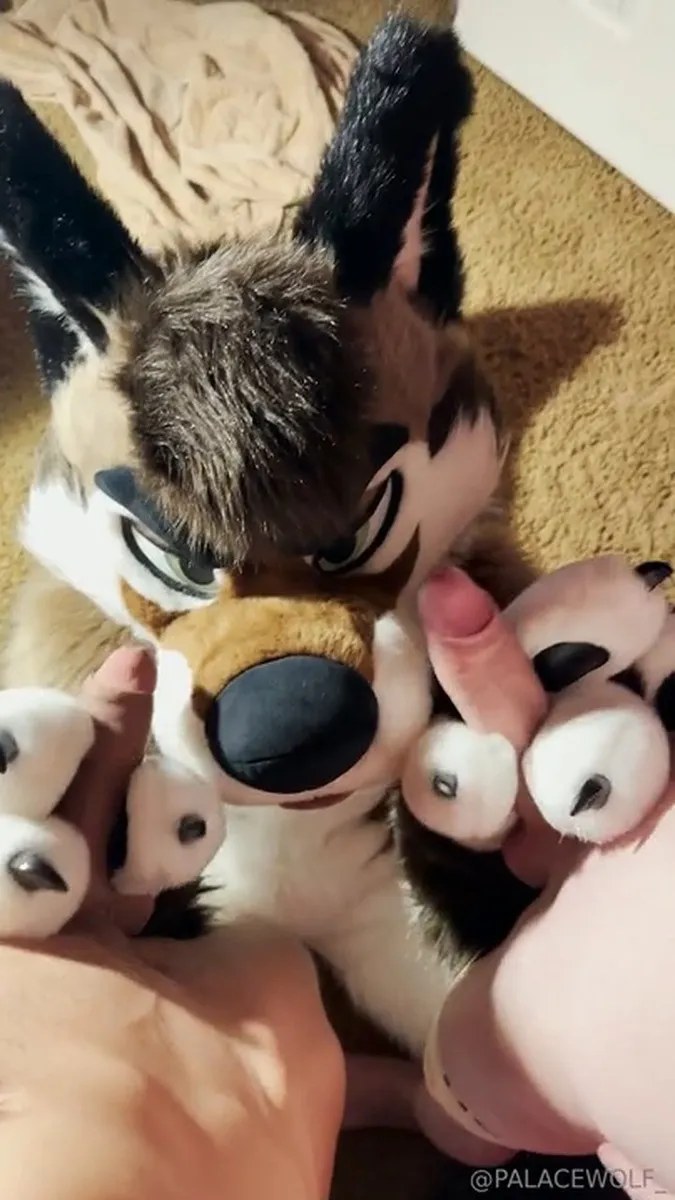 Palacewolf (134) video