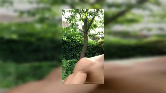 R3vNEAgY7H1KgL8wds4Xc9YK7my5k2zC video