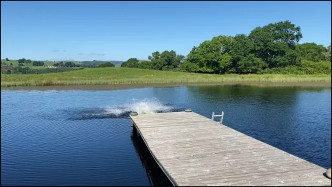 122. Aidan Ward video