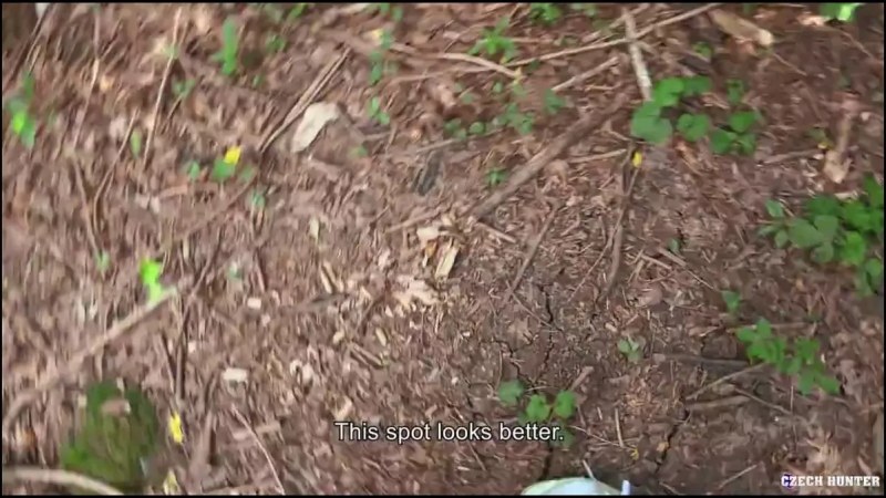 Czech Hunter   552 video