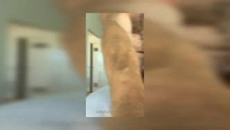 60433451 6fcf5f8c0f9d92cd3dc401fa081ee522 video