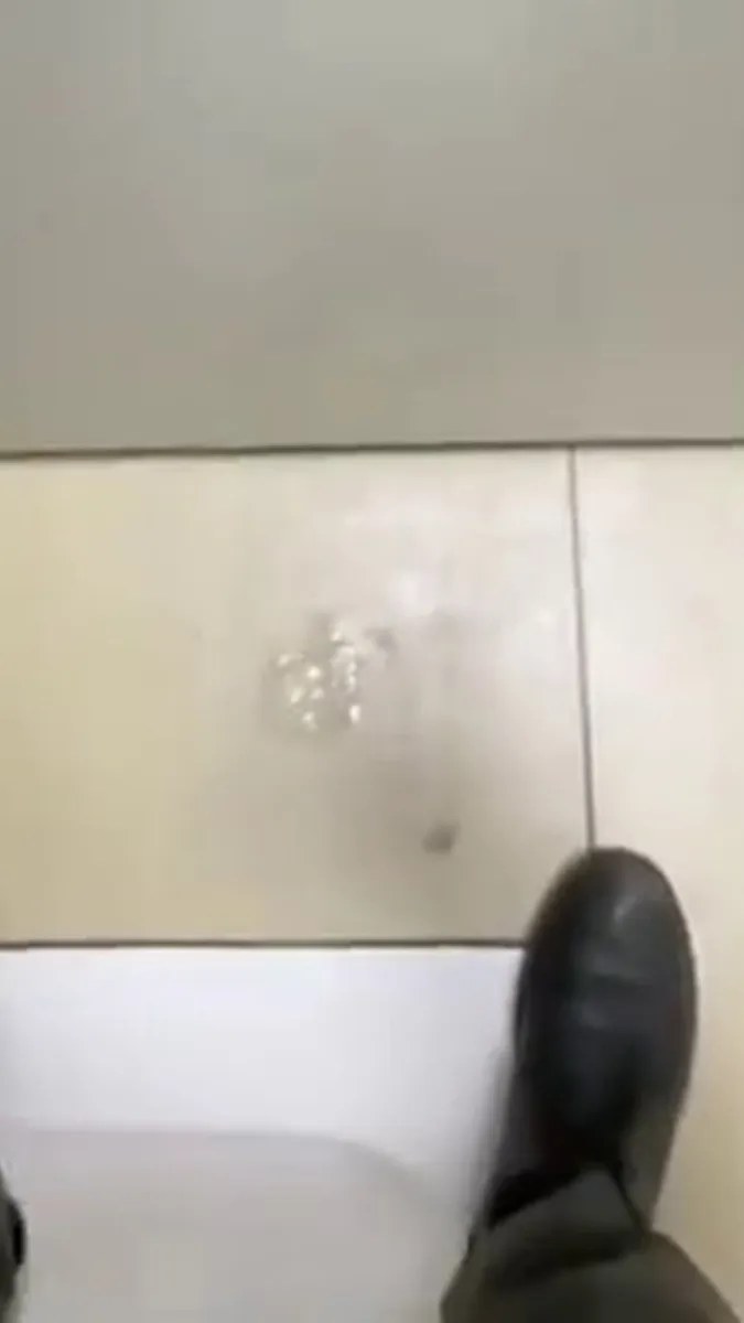Exhibitionists   Banheiro Restroom Bathroom Public Wc Part 8 (75) video