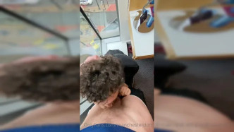 0haanffa5i2g55cg3vw5v Source video