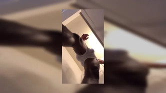 D6d541d4 Bac6 4e82 Beaf 9196997c8afc video