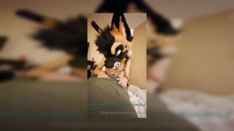 Palacewolf (19) video