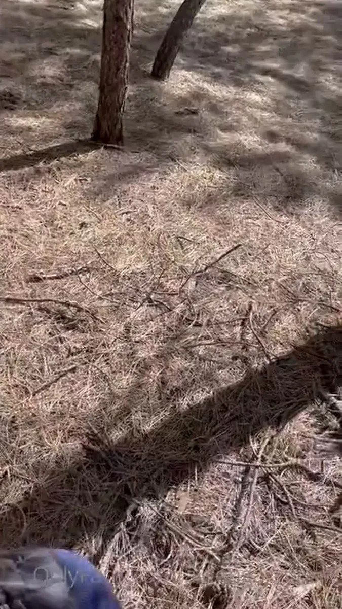2022 04 04 0h0y9n17oocludz480x2n Source video