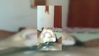 0h4kwt1fg3hu2z1zkshwt Source video