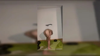 Dennisdillon.132 video