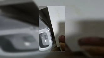 Nogueira Videos.62 video