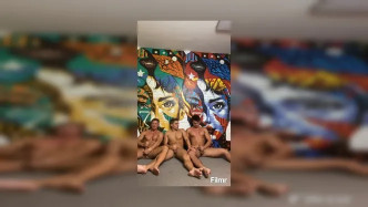 Emmet.2020 01 16 045414 video