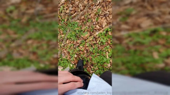 Sc3WVB6B3k6qkf32q2LWIFyvpBiqW1Vv video