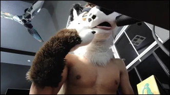 Palacewolf (13) video