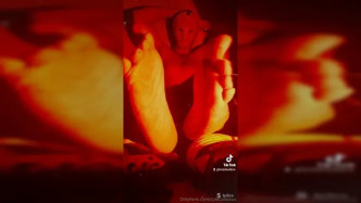 Master Cole Colecoloccus OF  MEGAPOST (JANUARY) + RANK FARTS Part 1 video