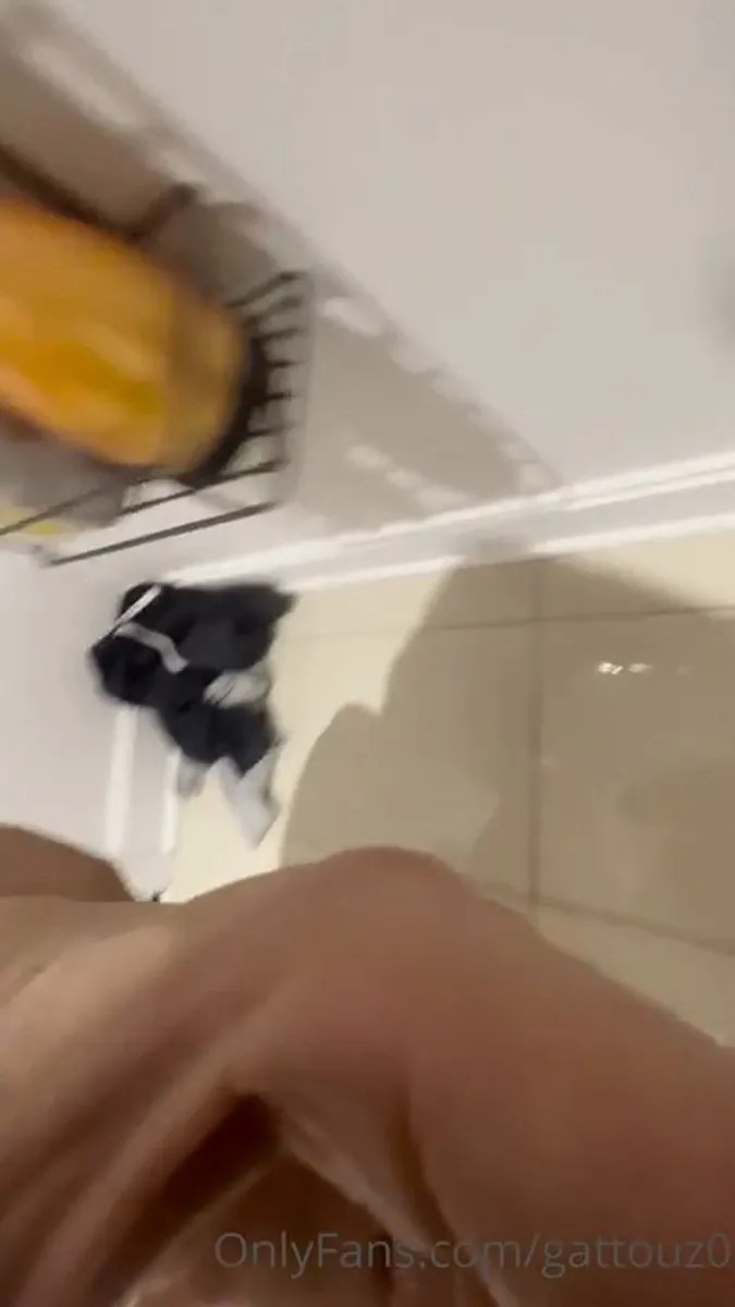 Gattouz0 1655 video