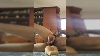 Nogueira Videos.183 video