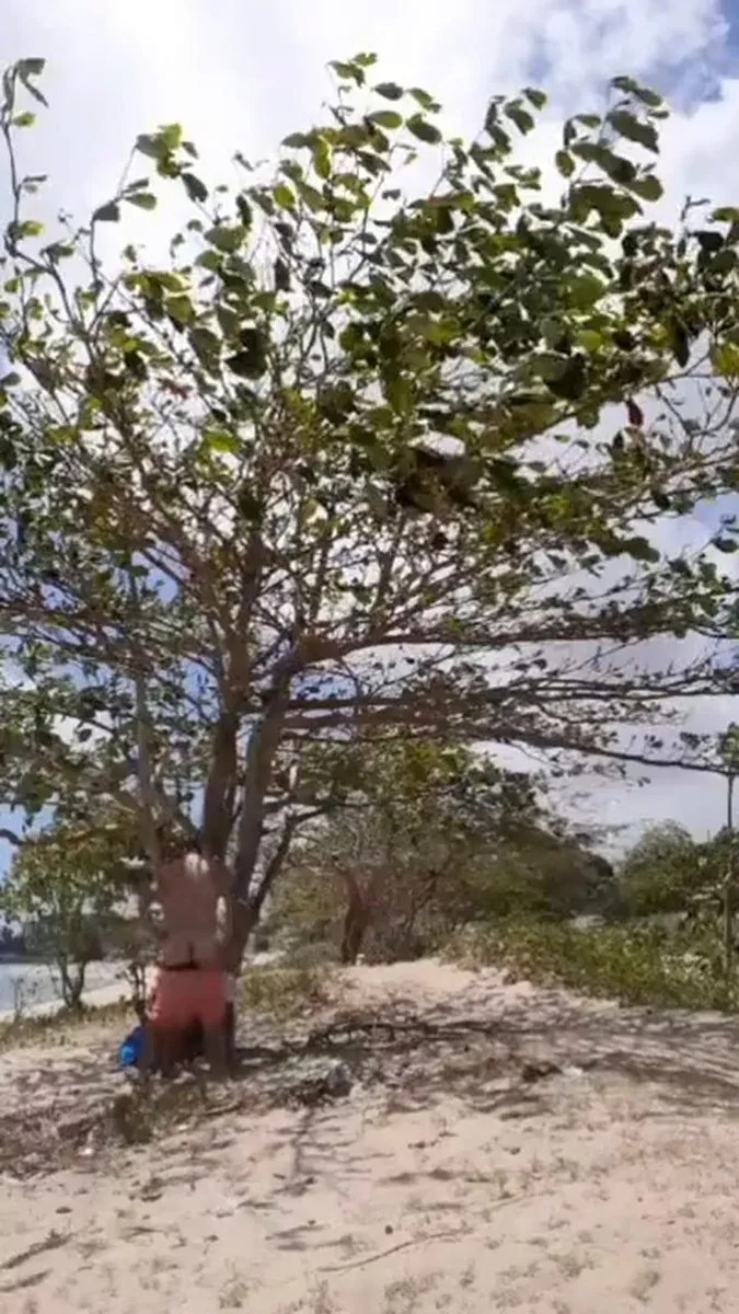 PRAIA   Dezembro video