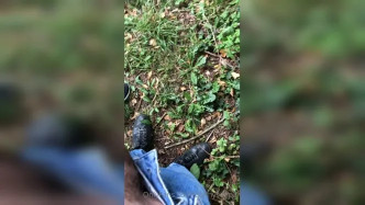 2020 07 22 Cruising Part 1 video