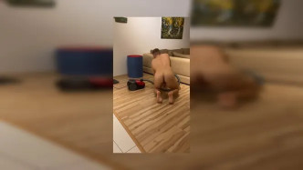 Emmet.2021 07 18 165547 video