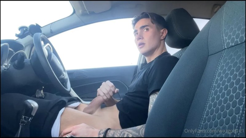 Little Bash In The Car video