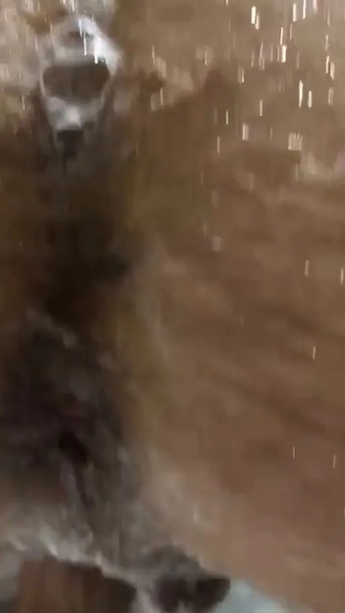 19601433 video