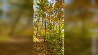 VID 20241027 190313 995 video