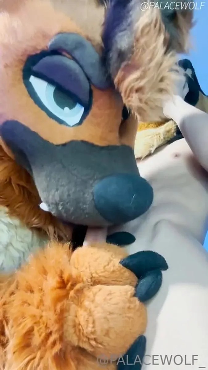 Palacewolf (93) video
