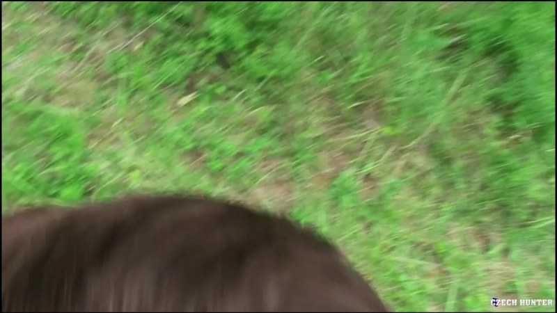 Czech Hunter   466 video