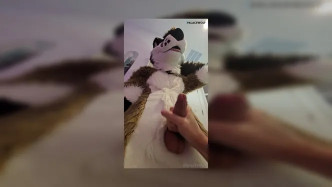 Palacewolf (24) video