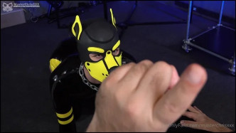 2023 12 21 His First Experience As A Real Puppy Boy. The Boy Got His Tail, Look How He Wags It! True, He Still N video