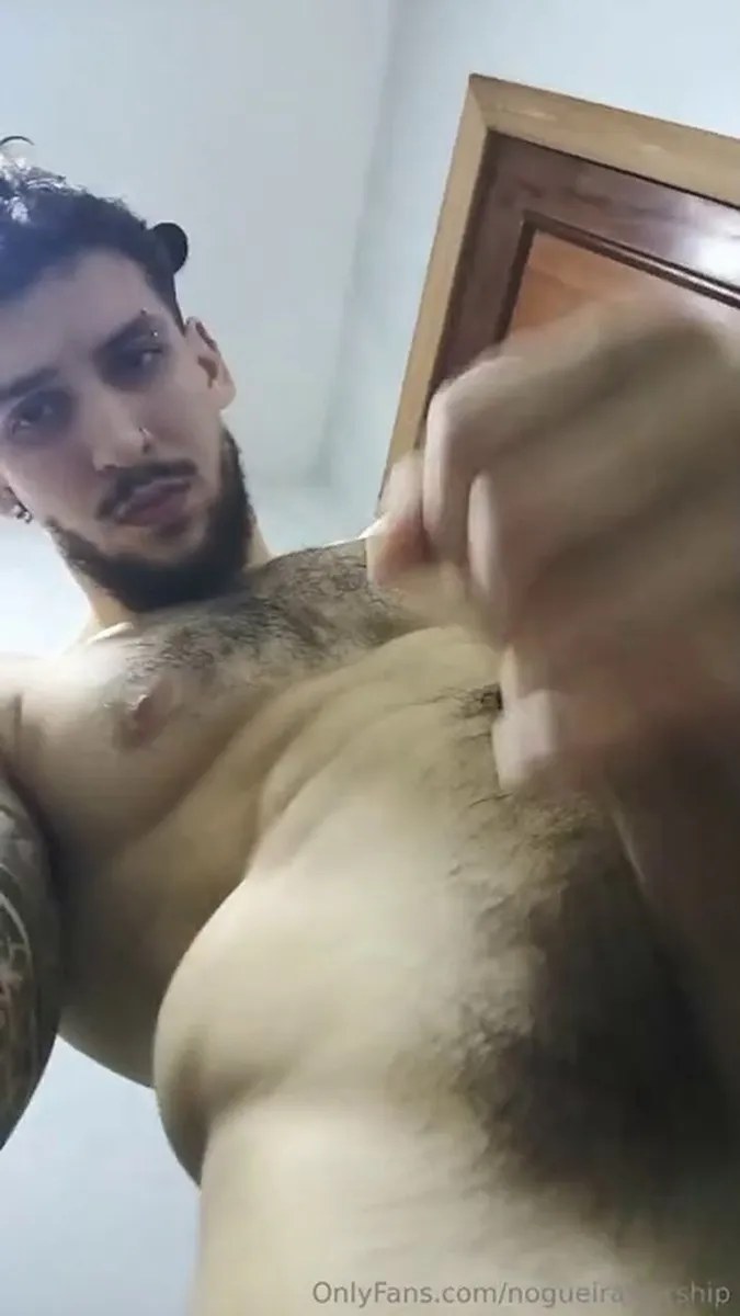 Nogueira Videos.74 video