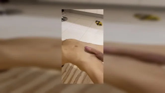 Emmet.2021 11 18 001148 video