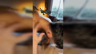 0h9bw97a0g6v8vtr9ryhv Source video