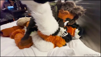 Palacewolf (54) video