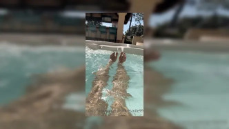 4618f0e4 3eca 414b Abec B9b9895c504a video