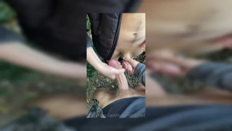 0hhabo7q1vhoxzjv4wz31 Source video